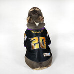 Deluxe Pet Jersey // Off The Chain (XS)