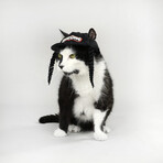 Deluxe Pet Baseball Hat // Classic (XS)
