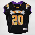 Deluxe Big Pet Jersey // Off The Chain (Big Dog)