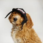 Deluxe Pet Baseball Hat // Classic (XS)