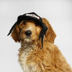 Deluxe Pet Baseball Hat // Classic (XS)