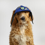 Deluxe Pet Baseball Hat // Halftime (XS)