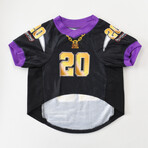 Deluxe Pet Jersey // Off The Chain (XS)