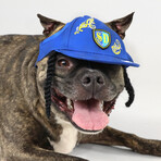 Deluxe Pet Baseball Hat // Halftime (XS)