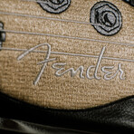 Officially Licensed Fender Telecaster Driver Cover