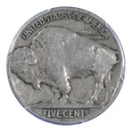 1918-D Buffalo Nickel // PCGS & CAC Certified VF20 // Deluxe Collector's Pouch