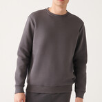 Marcus Crew Neck Sweatshirt // Anthracite (X-Small)