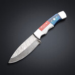 American Flag Skinner // 7806