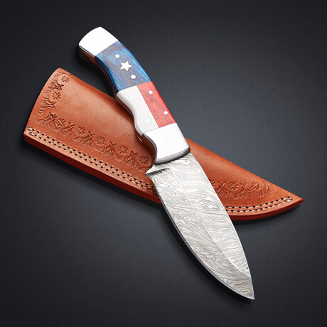 American Flag Skinner // 7806