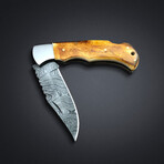 Pocket Folding Knife // 2051