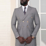 Gabriel 2-Piece Slim Fit Suit // Gray (Euro: 52)