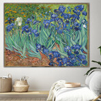Vincent Van Gogh // Irises, 1889