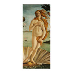 Sandro Botticelli // The Birth of Venus, 1484 // Detail of Venus