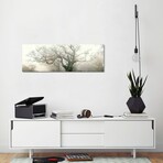 Panoramic Octopus Ghost Oak // Philippe Manguin (16"H x 48"W x 0.75"D)