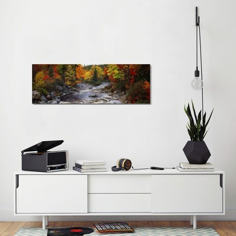 Stream with Trees in a Forest in Autumn, Nova Scotia, Canada // Panoramic Images (16"H x 48"W x 0.75"D)