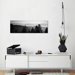 Vast Landscape In B&W, Great Smoky Mountains National Park, North Carolina, USA // Panoramic Images (16"H x 48"W x 0.75"D)