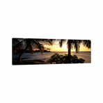 Kohala Coast, Hawaii, USA // Panoramic Images (16"H x 48"W x 0.75"D)