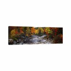 Stream with Trees in a Forest in Autumn, Nova Scotia, Canada // Panoramic Images (16"H x 48"W x 0.75"D)