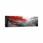 Trees in a garden, Butchart Gardens, Victoria, Vancouver Island, British Columbia, Canada Color Pop // Panoramic Images (16"H x 48"W x 0.75"D)