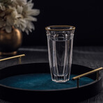 Windsor European Crystal Lead-Free Glasses // Set of 2 (Red Wine Glasses // 8 oz)