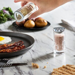 Revere Crystal Salt and Pepper Shakers // Set of 2