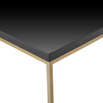 Teresa Square Coffee Table // Black + Gold