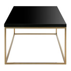 Teresa Rectangular Coffee Table // Black + Gold