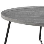 Niklaus Oval Coffee Table // Gray