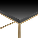 Teresa Rectangular Coffee Table // Black + Gold