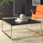 Teresa Square Coffee Table // Black + Gold