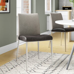 Rasmus Side Chair // Gray + Brushed Stainless Steel Legs // Set of 2