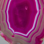 Genuine Pink Banded Agate Slice on a Custom Metal Stand // 3 lb