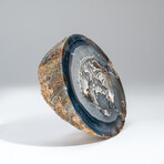 Genuine Banded Agate Geode Slice // 3.6 lb