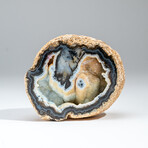 Genuine Banded Agate Geode Slice // 2.6 lb