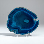 Genuine Banded Agate Slice with Acrylic Display Stand // 281g