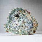 Large Genuine Moss Agate Geode Slice // 48.5 lb
