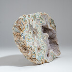 Genuine Moss Agate Geode Slice // 8.7 lb