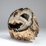 Genuine Banded Agate Geode // 8.4 lb