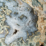 Large Genuine Moss Agate Geode Slice // 48.5 lb