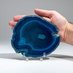 Genuine Banded Agate Slice with Acrylic Display Stand // 281g