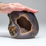 Genuine Banded Agate Geode Slice // 2.4 lb