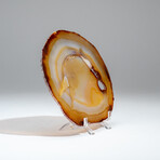 Genuine Banded Agate Slice with Acrylic Display Stand // 236g
