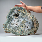 Large Genuine Moss Agate Geode Slice // 48.5 lb