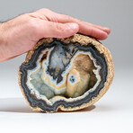 Genuine Banded Agate Geode Slice // 2.6 lb