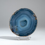 Large Genuine Banded Agate Slice  // 1.8 lb