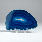 Genuine Banded Agate Slice with Acrylic Display Stand // 321g