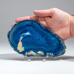 Genuine Banded Agate Slice with Acrylic Display Stand // 224g