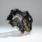Genuine Banded Agate Slice with Acrylic Display Stand // 378g