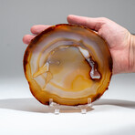 Genuine Banded Agate Slice with Acrylic Display Stand // 236g