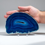 Genuine Banded Agate Slice with Acrylic Display Stand // 321g
